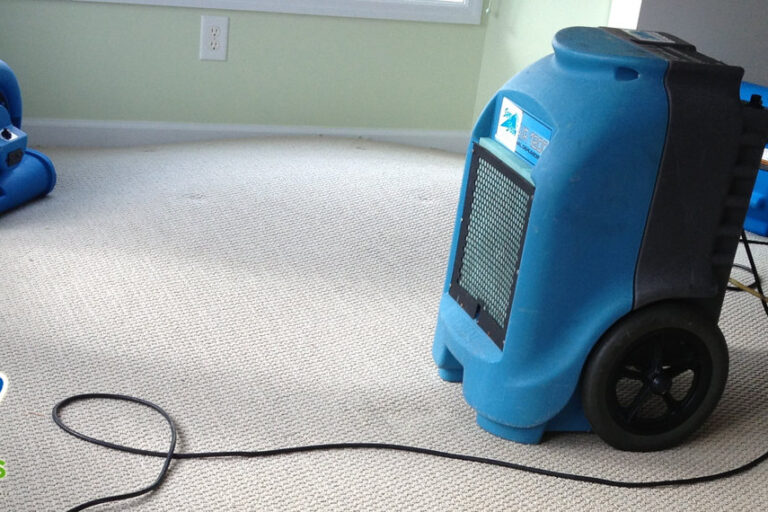 Water Damage Services Water Damage Services