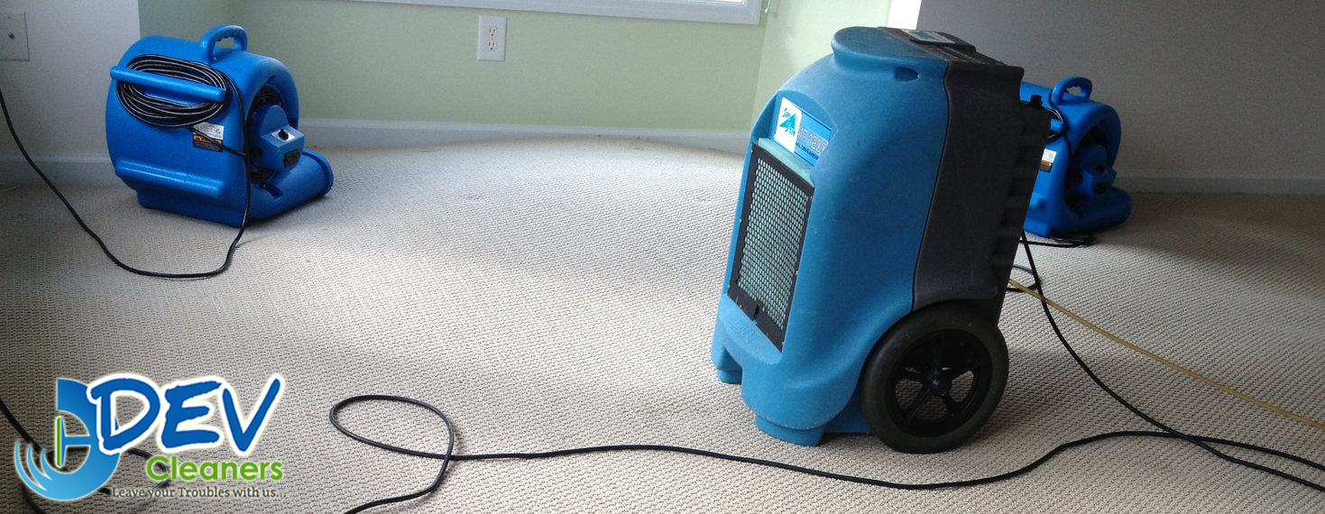 Water Damage Services