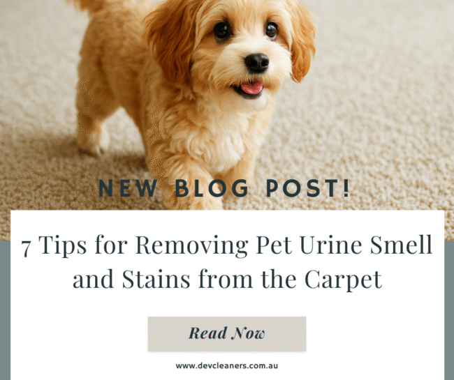 Gold Creative Website iPad Portfolio Photo Computer Mockup Launch Facebook Post (9)